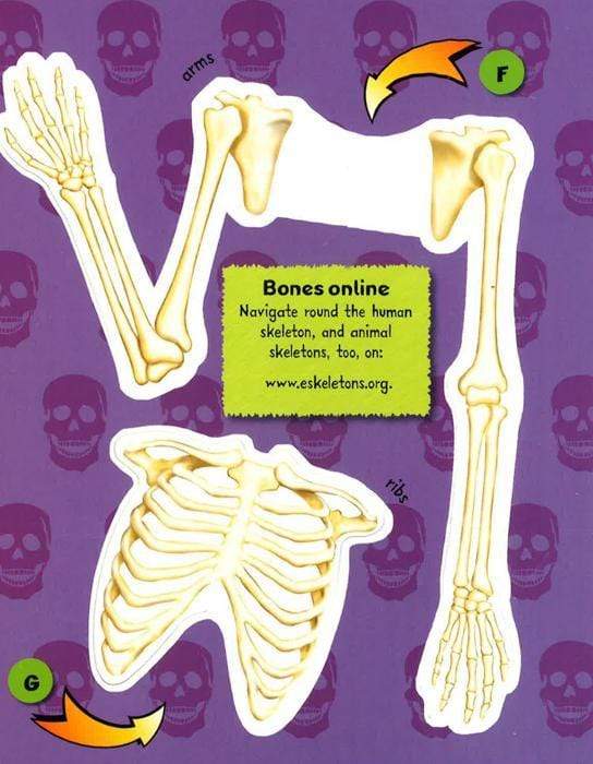 Build It Now Super Skeleton