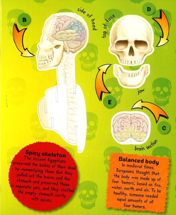 Build It Now Super Skeleton