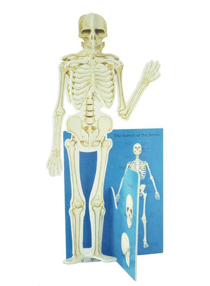 Build It Now Super Skeleton