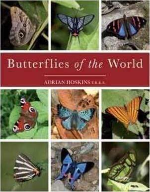 Butterflies Of The World