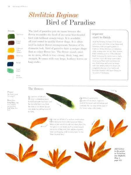 Chinese Brush Painting: Flowers