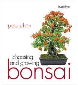 Choosing And Growing Bonsai