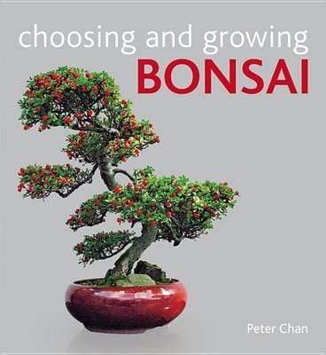 Choosing And Growing Bonsai
