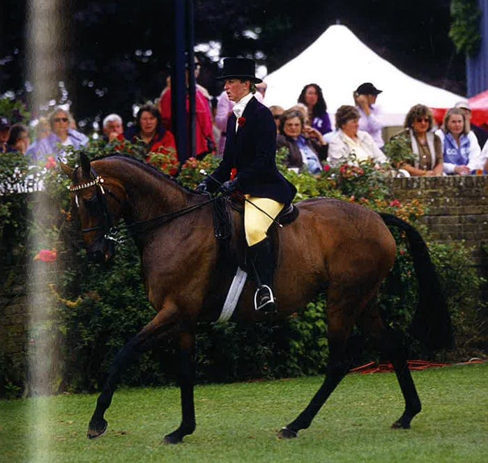 Choosing & Looking After Your Horse