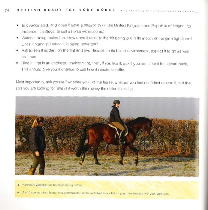 Choosing & Looking After Your Horse