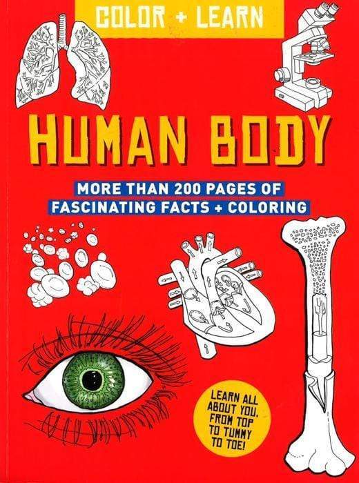 Color + Learn: Human Body