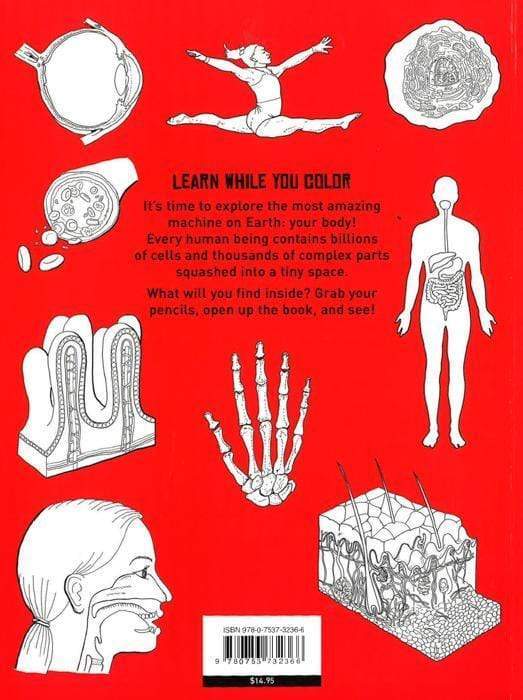 Color + Learn: Human Body