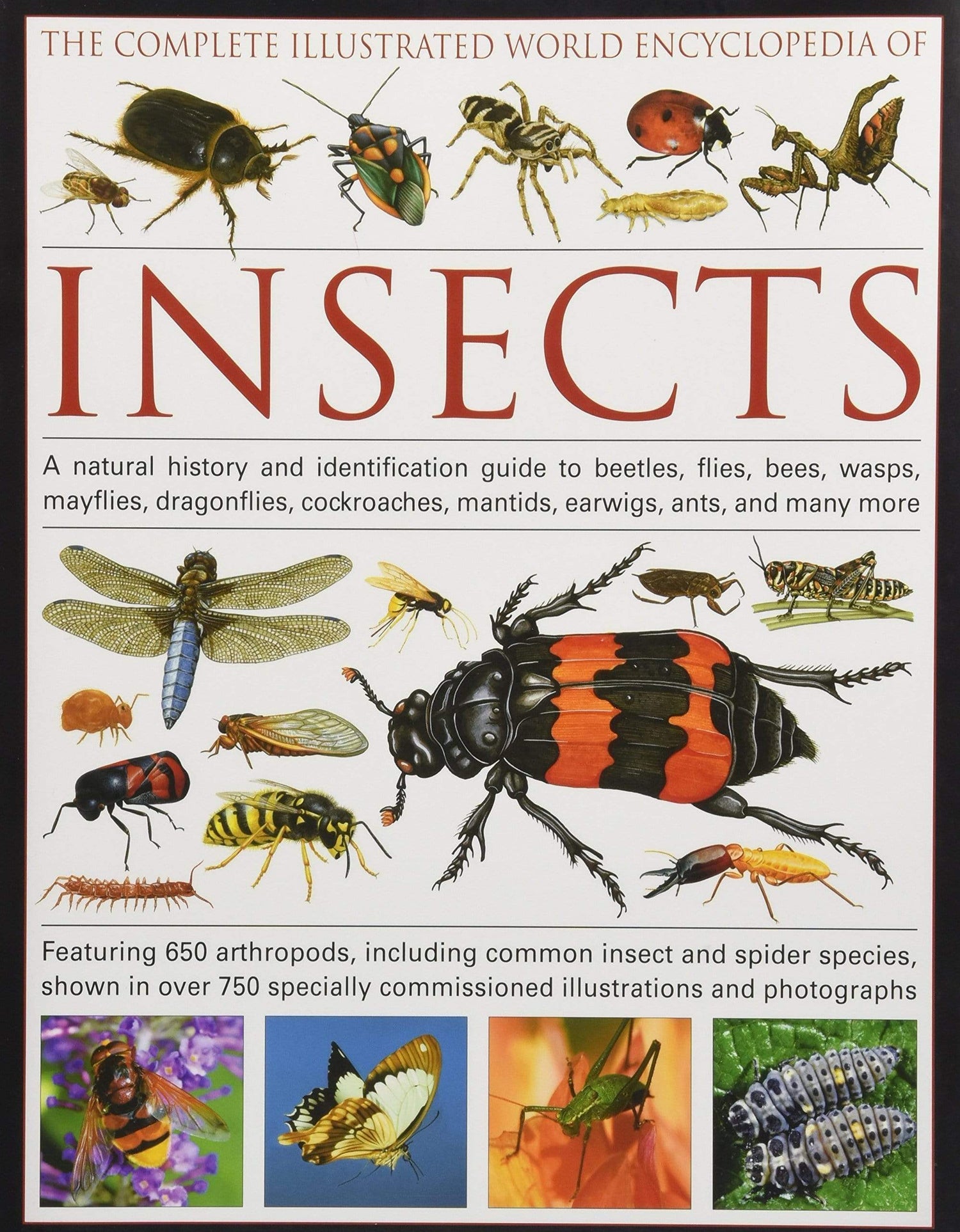 Complete Illustrated World Encyclopedia of Insects
