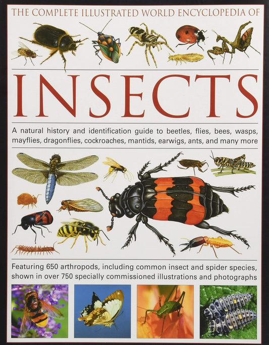 Complete Illustrated World Encyclopedia of Insects