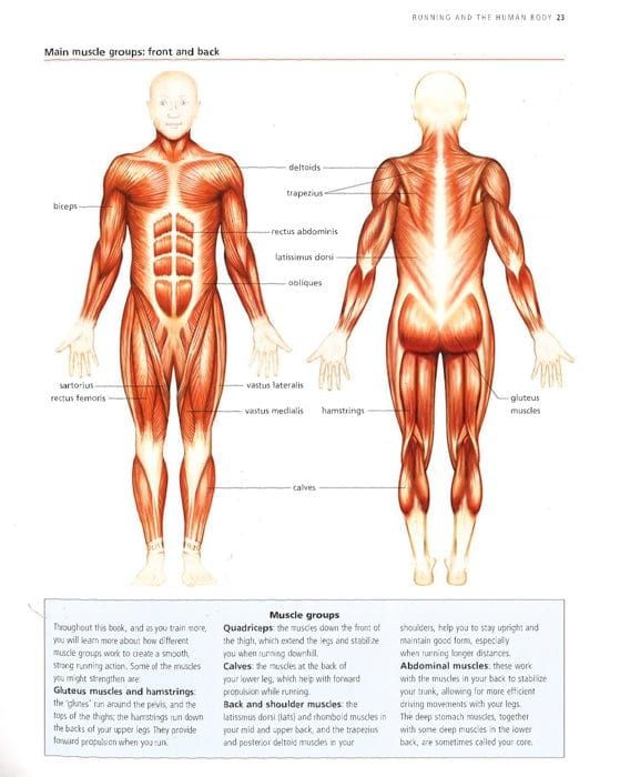 Complete Practical Encyclopedia Of Running