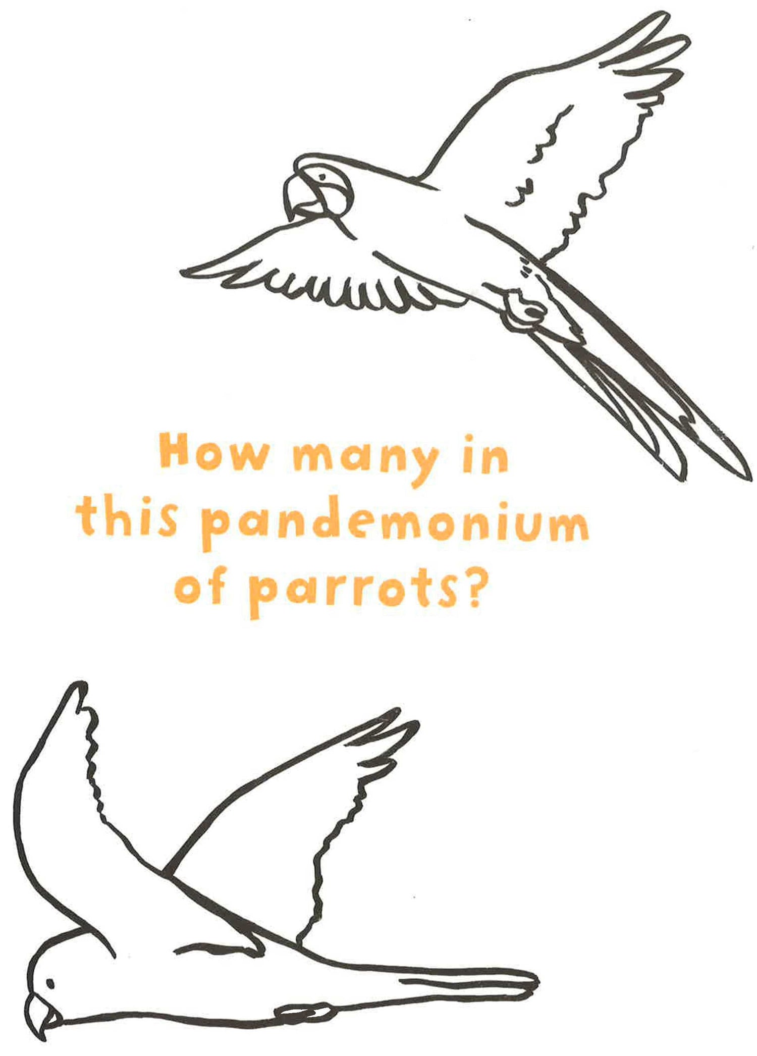 Count And Color: Fly