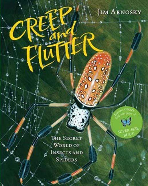 Creep and Flutter: The Secret World of Insects and Spiders