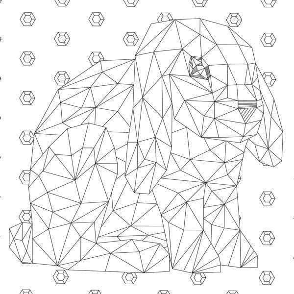 CRYSTAL MENAGERIE COLORING BOOK