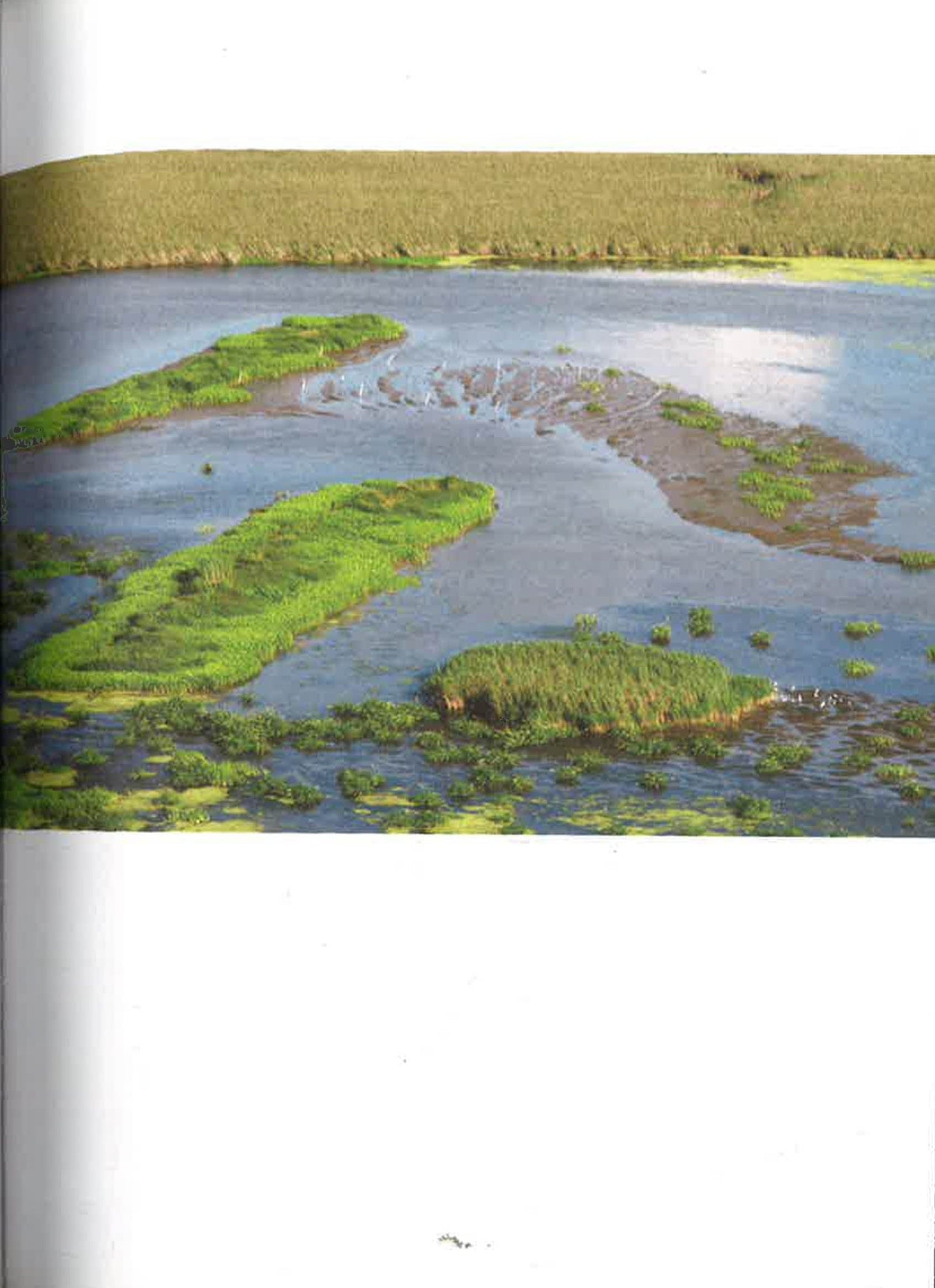 Designed For The Future: 80 Practical Ideas For A Sustainable World