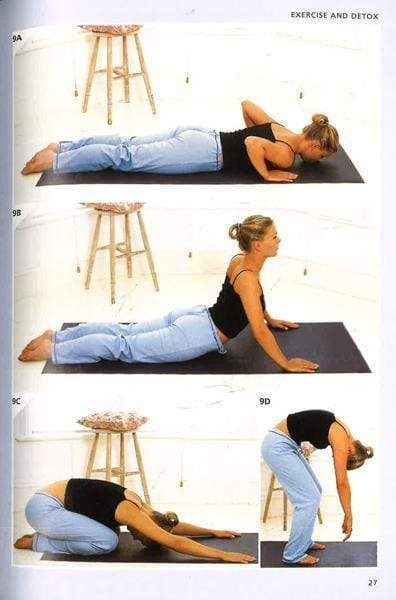 Detox: 14 Plans To Combat The Effects Of Modern Life