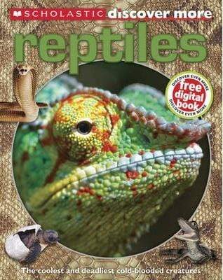 Discover More : Reptiles