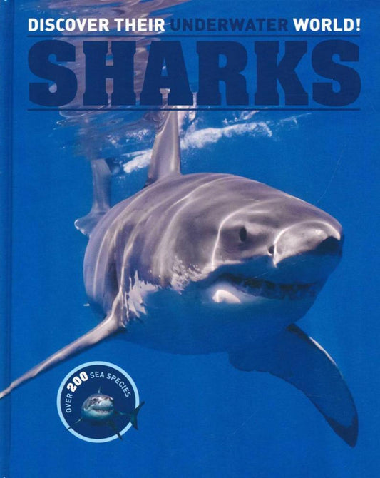 Discover Their Underwater World!: Sharks
