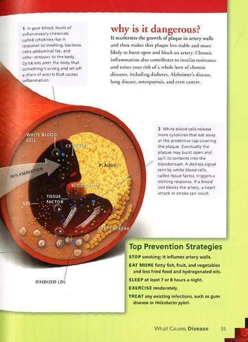 Disease Free: Proven Ways To Prevent Common Health Conditions (Hb)