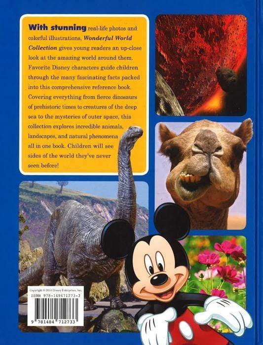 Disney Learning - Wonderful World Collection (5 Books In 1)