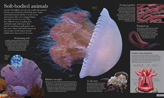 Dk: How Animals Work