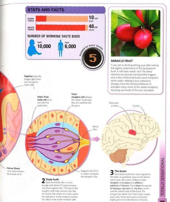 Dk: Superhuman Encyclopedia (Hb)