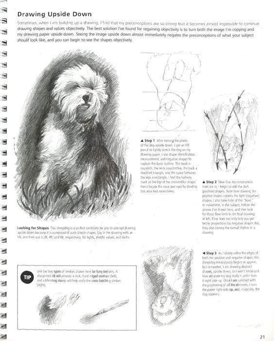 Drawing Concepts: A Complete Guide To Essential Drawing Techniques And ...