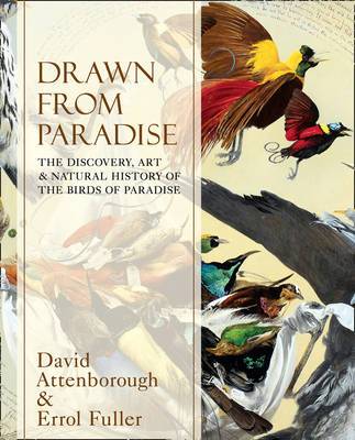 Drawn From Paradise: The Discovery, Art & Natural History Of The Birds Of Paradise