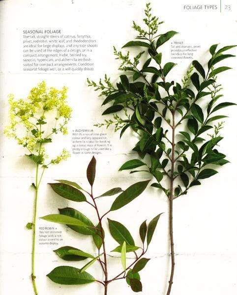 Easy World Craft - Flower Arranging