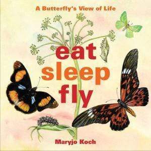 Eat, Sleep, Fly: A Butterfly's View Of Life (Hb)