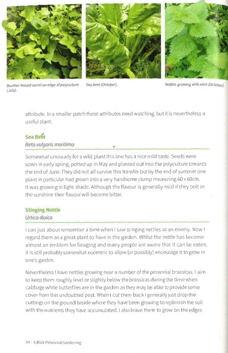 Edible Perennial Gardening: Growing Successful Polycultures In Small Spaces