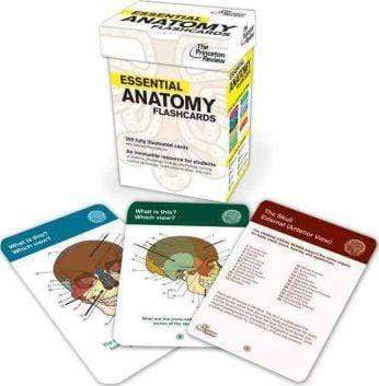 Essential Anatomy Flashcards