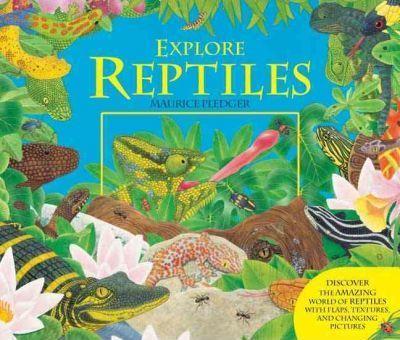Explore Reptiles