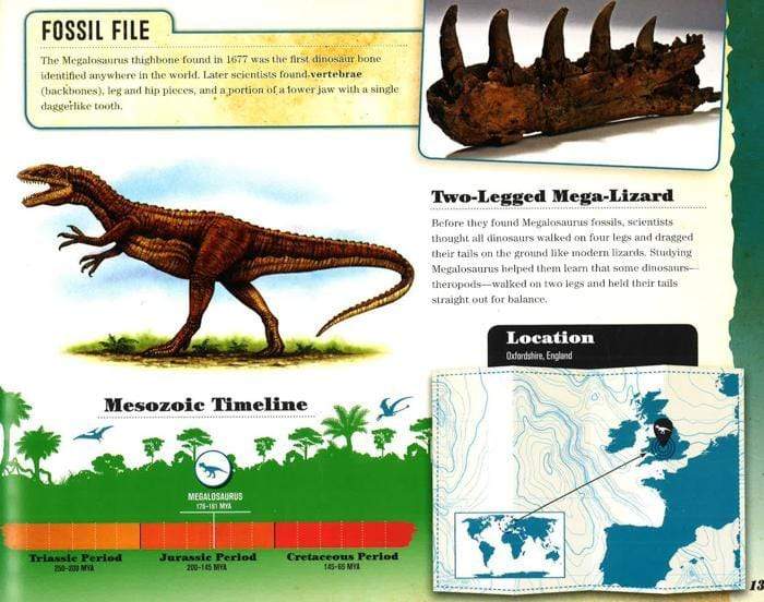 Extreme Animals: Dinosaurs