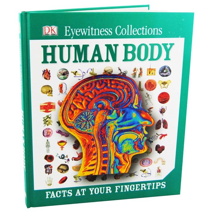 Eyewitness Collections: Human Body (Hb)