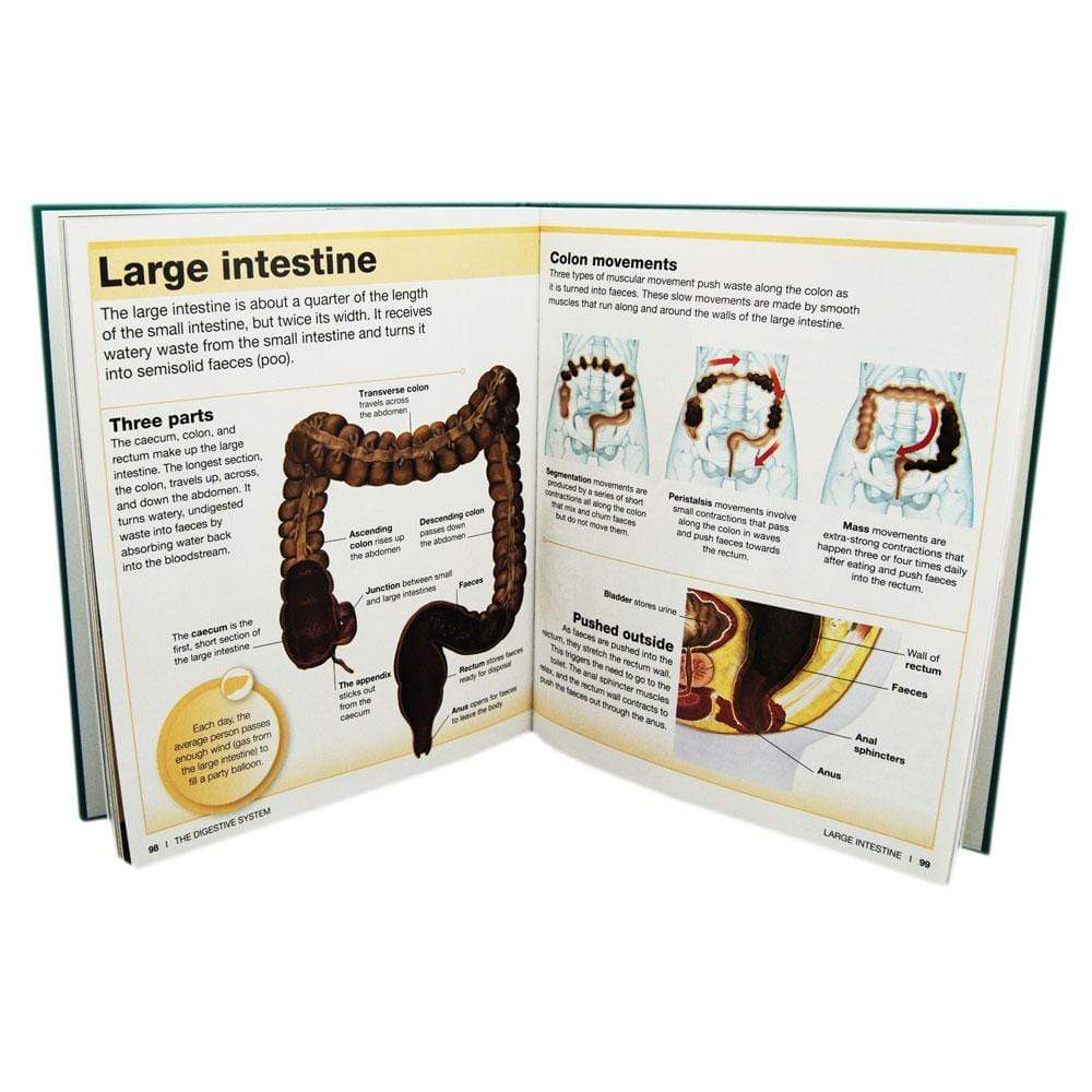 Eyewitness Collections: Human Body (HB)