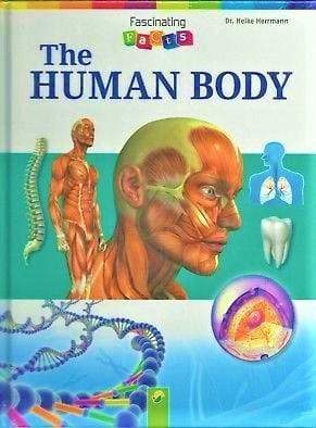 Fascinating Facts: The Human Body