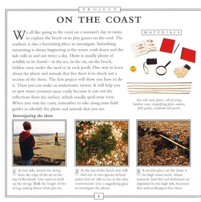 Find Out About The Sea: With 20 Projects And More Than 260 Pictures