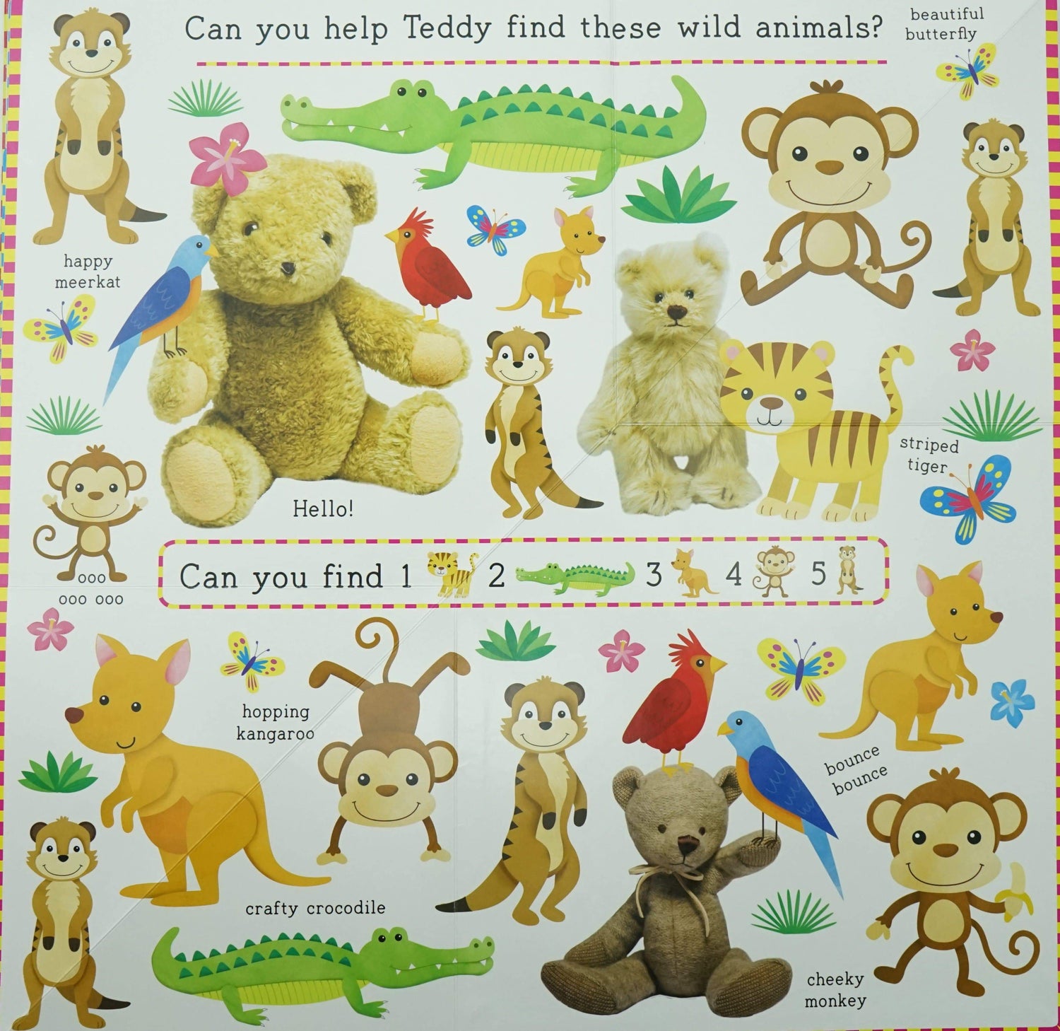 Find With Teddy Animals