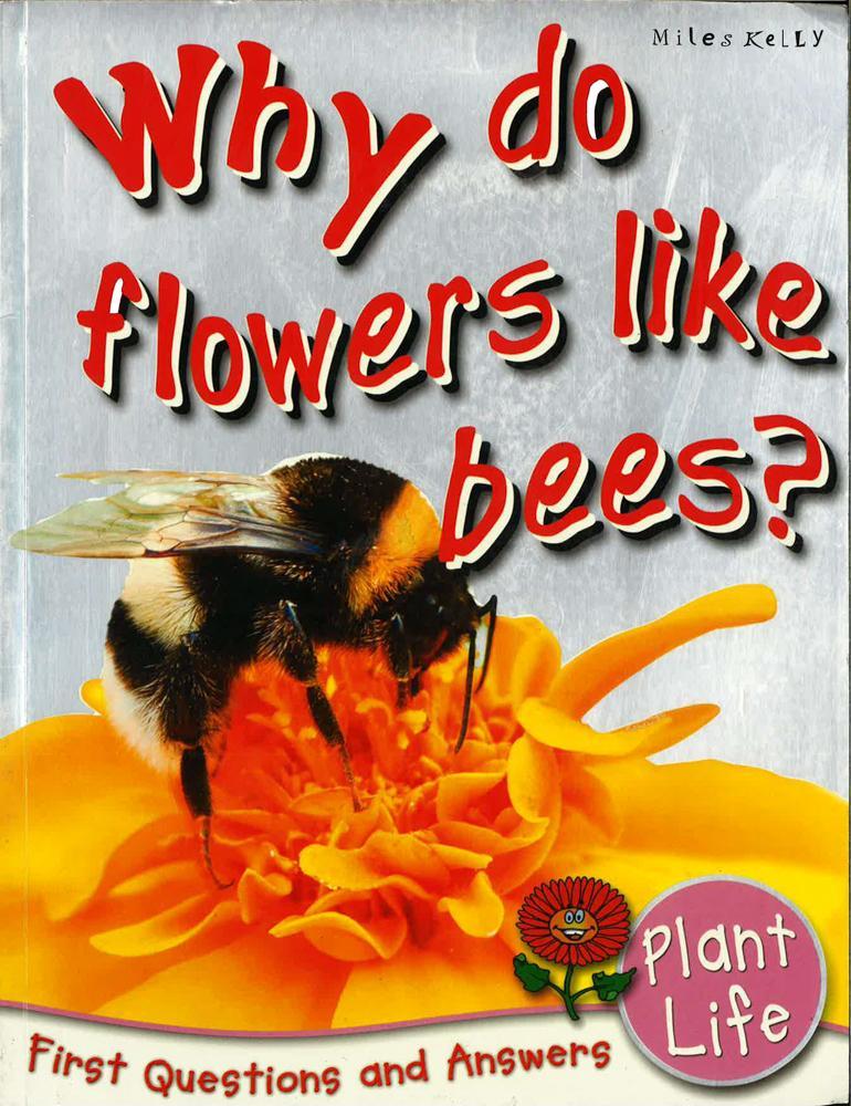 First Q & a - Why Do Flowers Like Bees?
