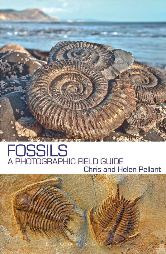 FOSSILS : A PHOTOGRAPHIC FIELD GUIDE