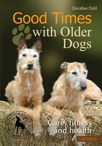 Good Times With Older Dogs: Care, Fitness And Health