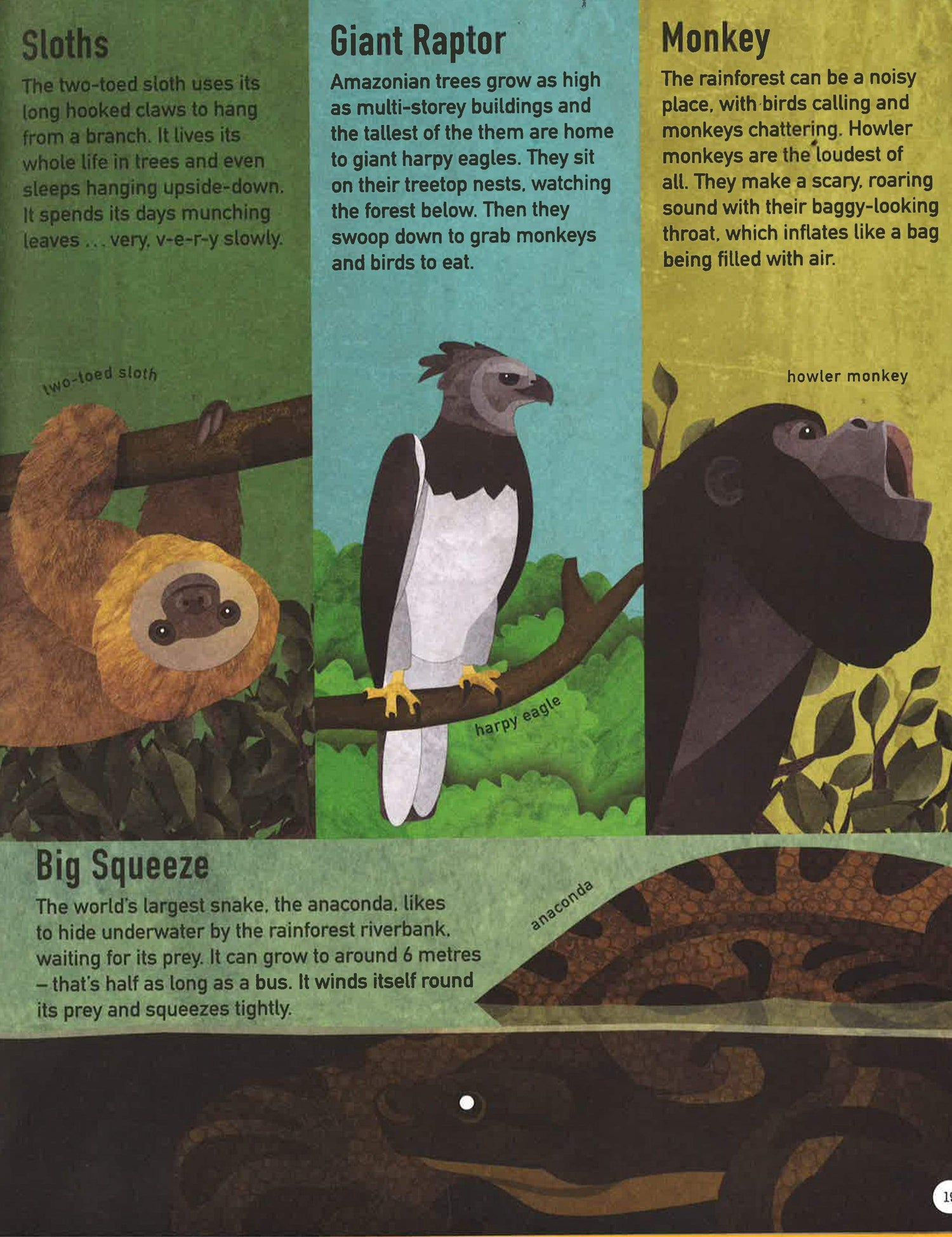 Green Planet: Life In Our Woods & Forests