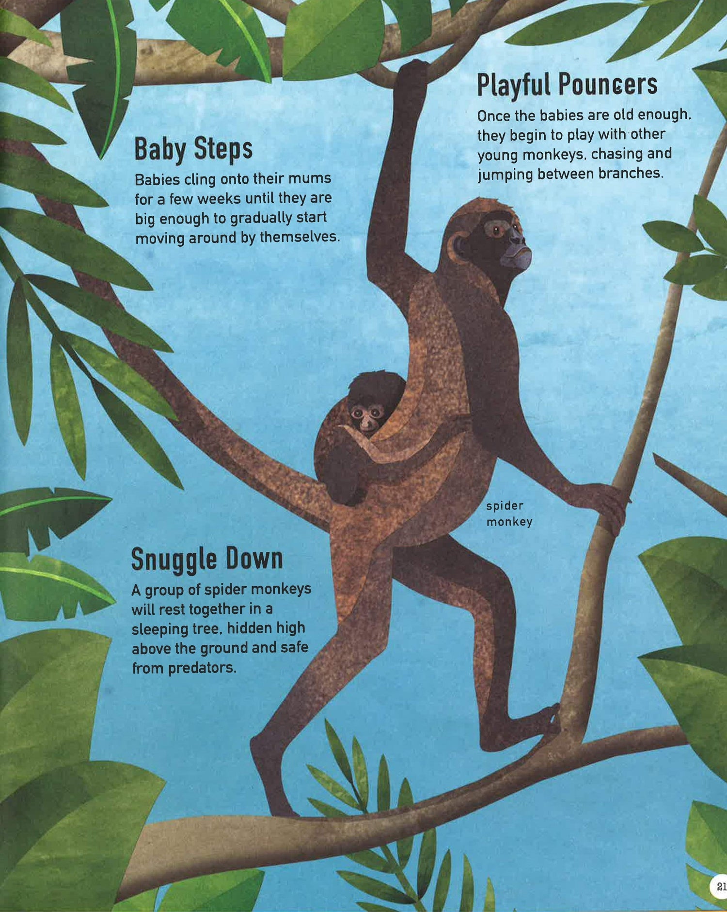 Green Planet: Life In Our Woods & Forests