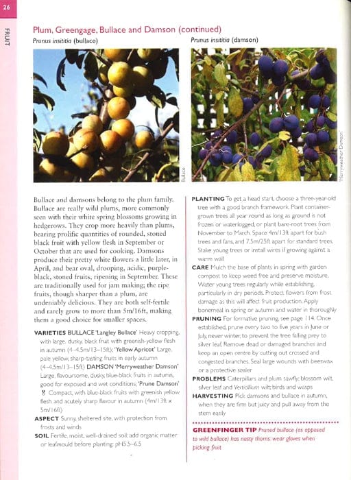 Greenfingers Guides: Fruit And Vegetables