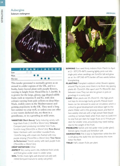 Greenfingers Guides: Fruit And Vegetables