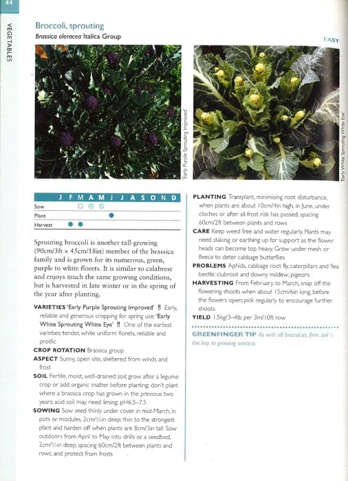 Greenfingers Guides: Fruit And Vegetables