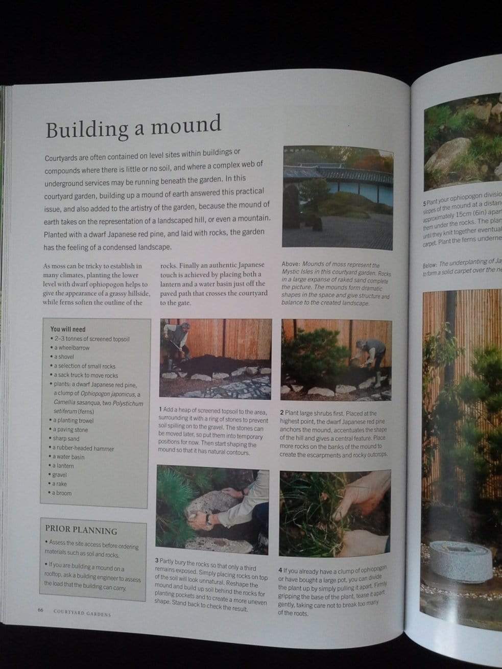 Growing Bonsai: A Practical Encyclopedia