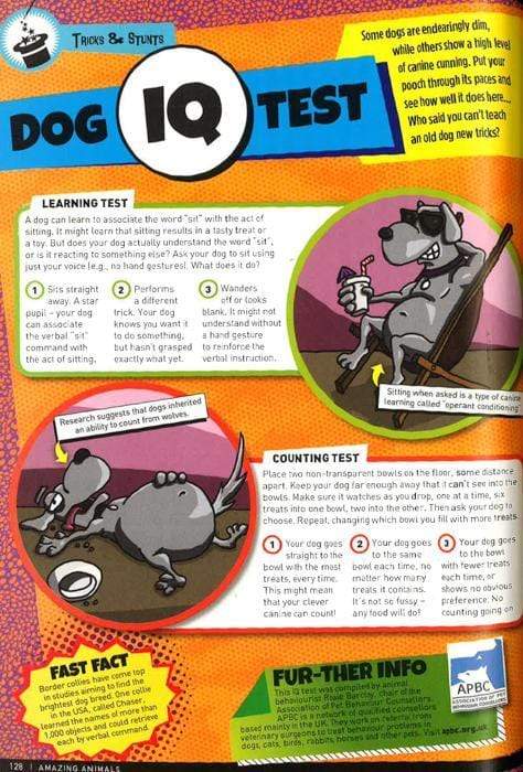 Guinness World Records Amazing Animals