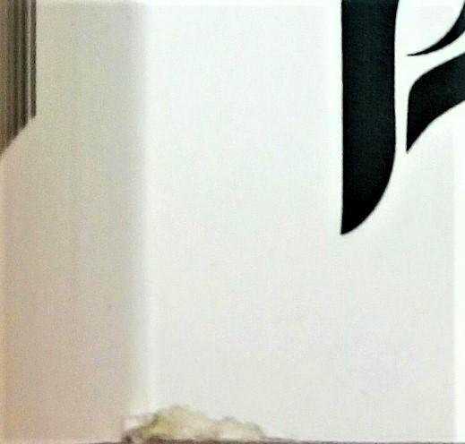 Hitler and Churchill: Secrets of Leadership