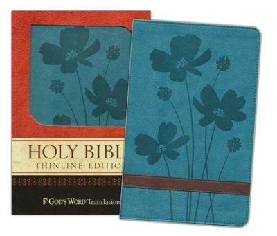 Holy Bible Thinline Bible (Turquoise/Brown)